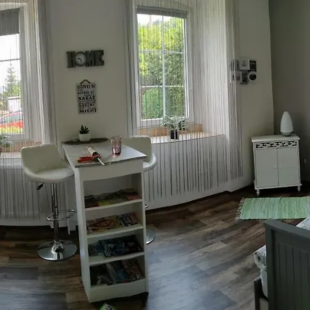 Olsinky Apartment *
