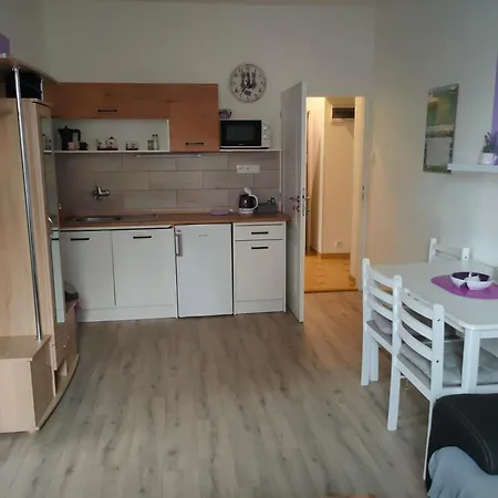 Apartment Olsinky Usti nad Labem