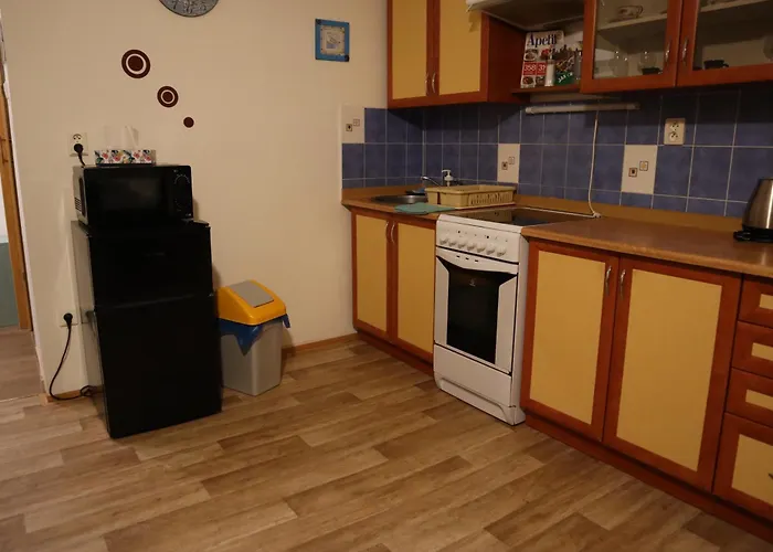 Olsinky アパート Ústí nad Labem