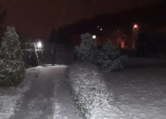 Olsinky アパート