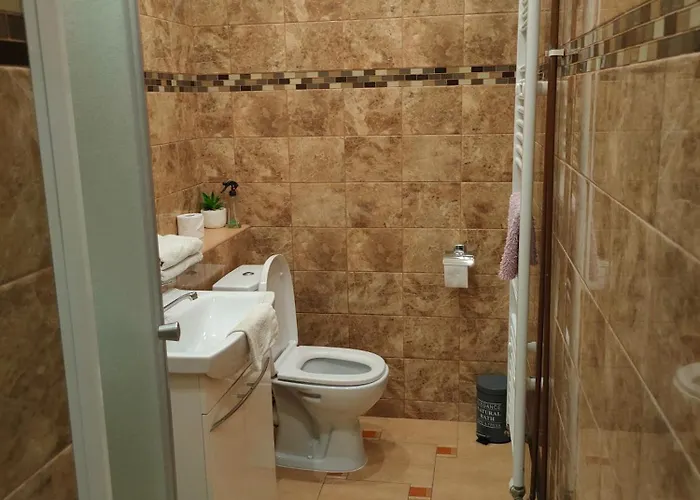 Olsinky アパート Ústí nad Labem