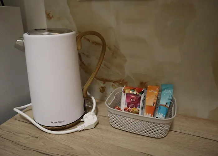 アパート Olsinky Ústí nad Labem