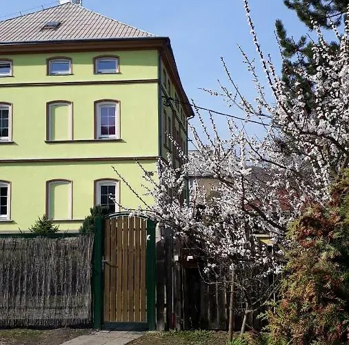 Apartment Olsinky *
